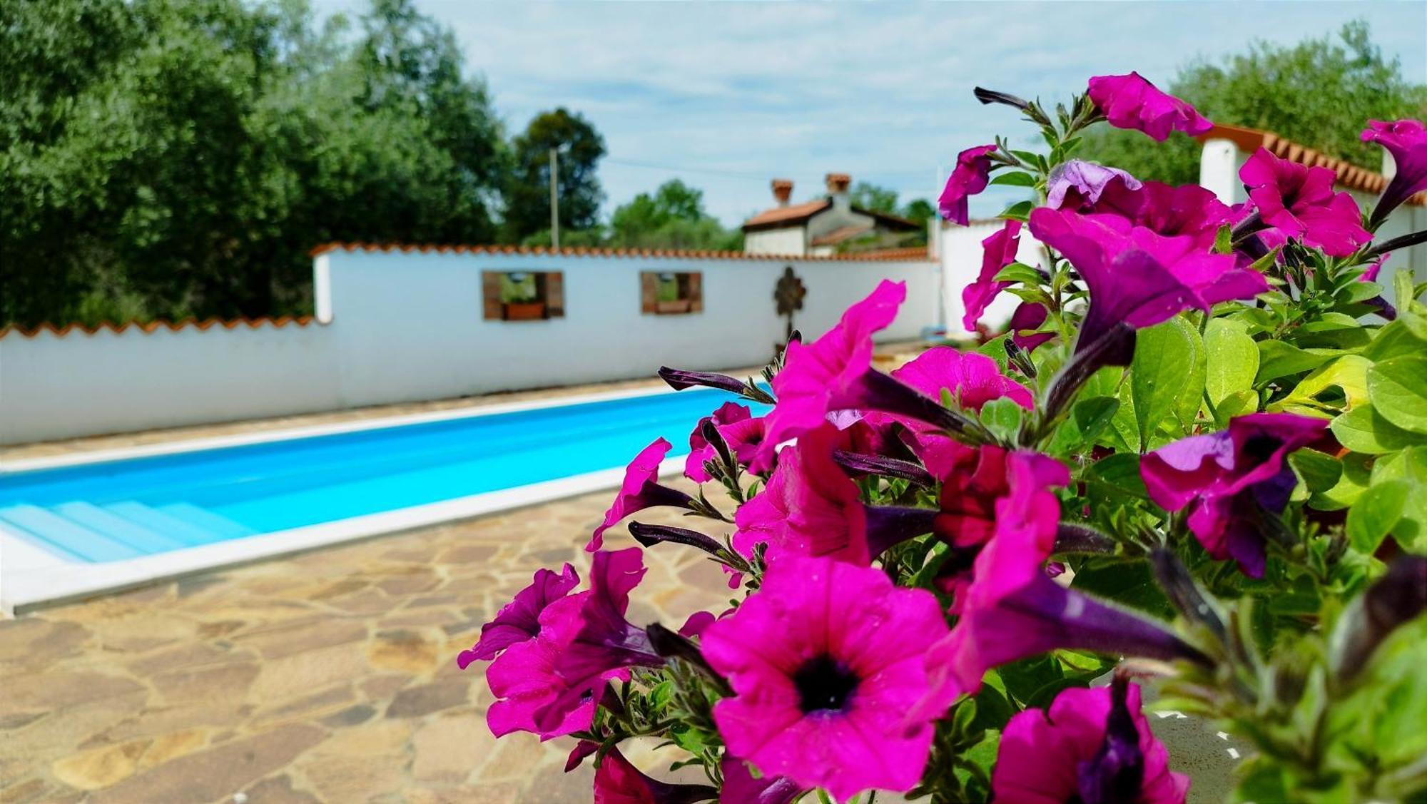 אומאג Villa "Pied-A-Terre" Residence & Spa מראה חיצוני תמונה